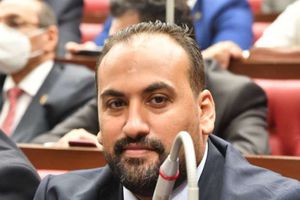 النائب محمد الرشيدي عضو مجلس الشيوخ
