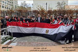 تصويت المصريين في ألمانيا
