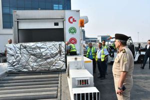  وصول ثاني شحنات الأدوية المشتقة من البلازما المصرية من إسبانيا
