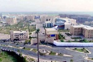 جامعة كفر الشيخ