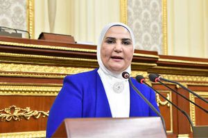 نيفين القباج، وزيرة التضامن الإجتماعي