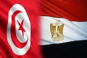 علمي مصر وتونس