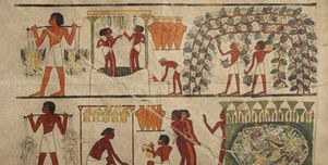 500 جرة أثرية تكشف عن المشروب الرسمي للمصريين القدماء.. «كان زي الشاي»