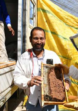 إنتاج عسل النحل في قنا