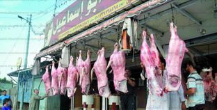 أسعار اللحوم تواصل الارتفاع فى المحافظات