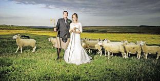بريطانية تقيم حفل زفافها فى مزرعة: العروسة للعريس.. والجرى للمعيز