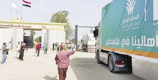 دخول المساعدات الإنسانية إلى قطاع غزة عبر معبر رفح المصري