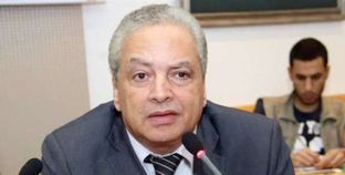خبراء وسياسيون: مصر «بوابة إفريقيا».. وترسيخ دورها الريادي أولوية