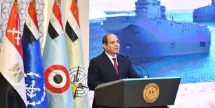 برلمانيون عن «مصري»: مشروع يحافظ على الهوية.. ويخلد البطولة الحقيقية