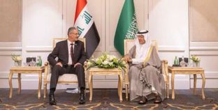 لقاء وزيرا الطاقة السعودي والعراقي