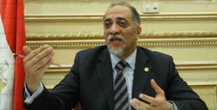 الدكتور عبد الهادى القصبى رئيس لجنة تضامن النواب