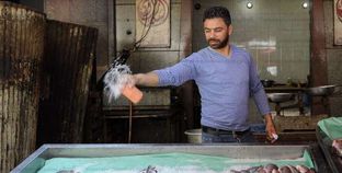 محلات بيع الأسماك تفتح أبوابها مجدداً بالإسكندرية