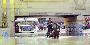 عربات «الكارو» تحولت إلى وسيلة النقل الوحيدة بالإسكندرية بعد غرقها فى مياه الأمطار