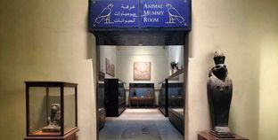 غرفة تحنيط الحيوانات بالمتحف المصري
