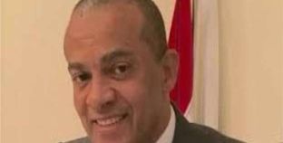 السفير المصري بموريتانيا: مشاركة فعالة من أعضاء الجالية في الاستفتاء