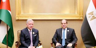 الرئيس السيسي يعقد لقاءات مع عدد من القادة العرب على هامش «القمة»