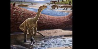 ديناصور «مبيريسوروس راثي»