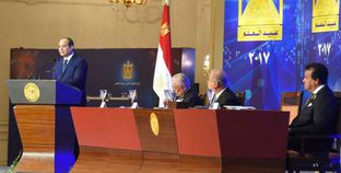 الرئيس عبدالفتاح السيسى خلال كلمته فى الاحتفال بـ«عيد العلم»