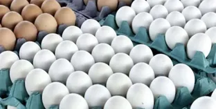 البيض في الأسواق