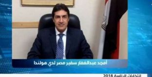 أمجد عبدالغفار - سفير مصر في هولندا