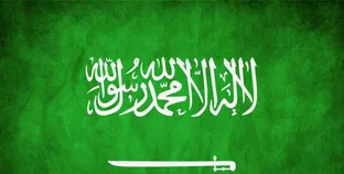 السعودية تنضم إلى مجلس برنامج المعلومات للجميع