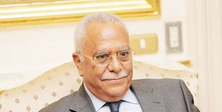 مساعد وزير الخارجية الأسبق: تاريخ مصر السياسي يعزز دورها في التوجيه والقيادة لحل أزمات المنطقة