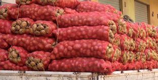 بالفيديو| بعد ارتفاع سعرها.. ضبط 25 طنا من البطاطس بحوزة تاجر فراخ بأوسيم