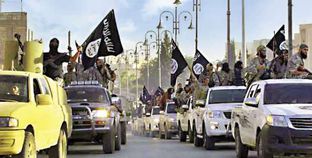الجماعات الإرهابية فى الدول العربية صنيعة قطرية لزعزعة استقرار المنطقة