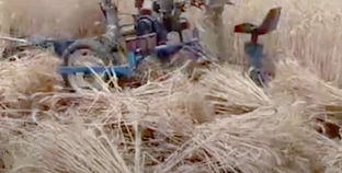 استخدام آلات حديثة فى حصاد القمح بالقليوبية