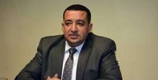 تامر عبدالقادر نائب حزب المصريين الأحرار