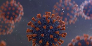 فيروس جديد