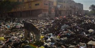 القمامة تحاصر منازل «المنوات»