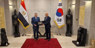 الفريق ربيع وسفير مصر في كوريا الجنوبية