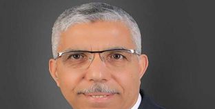 محمد الغباشي مساعد رئيس حزب حماة وطن