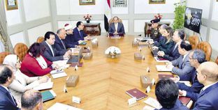 الرئيس السيسى فى اجتماع وزارى لمناقشة استعدادات مصر لرئاسة الاتحاد الافريقى