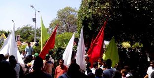 مسيرة يتقدمها محافظ القليوبية ورئيس الجامعة احتفالا بالعيد القومي