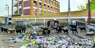 القمامة تحاصر مدرسة شوقى عابد