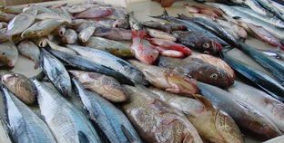 أسعار السمك والجمبري بالأسواق