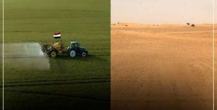 في 10 سنوات.. تنفيذ 5 مشروعات لزيادة المحاصيل الزراعية في مصر