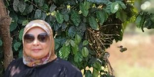 أستاذة فى «البحوث الزراعية»: الشجيرات المتبقية تأقلمت مع ظروف مصر