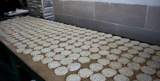 مراحل إنتاج حلاوة المولد من داخل مصنع بالغربية