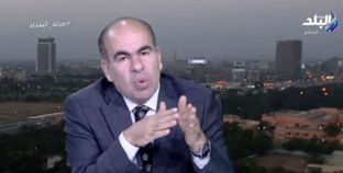 نائب رئيس حزب الوفد: المسيرات والاحتفالات ظاهرة جديدة في الاستفتاءات