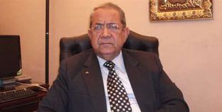 دبلوماسي سابق: الاستفتاء على تعديلات الدستور "فرح" للمصريين بالخارج