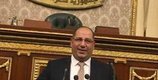 النائب أحمد سعد نويصر عضو مجلس النواب