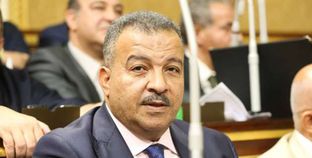 الدكتور محمد العمارى رئيس لجنة الصحة بمجلس النواب