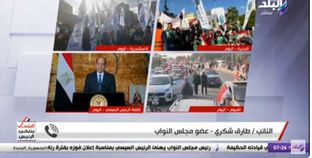 النائب طارق شكري: اختيار المصريين للرئيس السيسي دليل على ثقتهم فيه