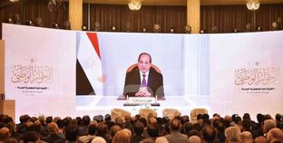 النائب عمرو عزت: الاقتصاد وانتخابات المحليات أولويات «التنسيقية» في الحوار الوطني