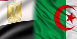 العلاقات الجزائرية المصرية
