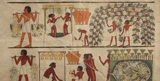 صنع النبيذ والجعة في مصر القديمة