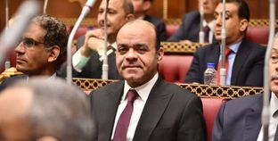 النائب عمرو القماطي عضو مجلس الشيوخ،